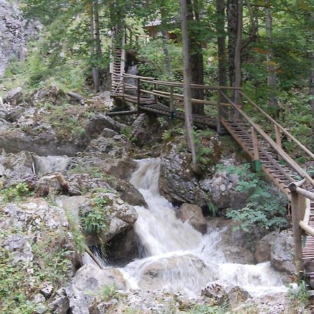 Apartments Am Kirchkogel "Laendliche Entspannung Im Herzen Der Steiermark" Pernegg an der Mur Eksteriør billede