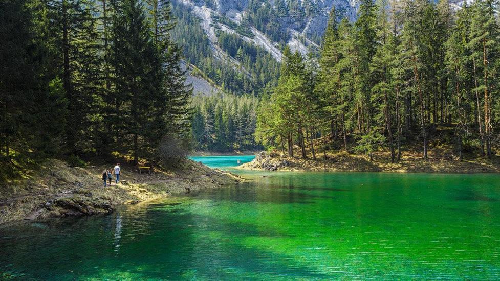 Apartments Am Kirchkogel "Laendliche Entspannung Im Herzen Der Steiermark" Pernegg an der Mur Værelse billede