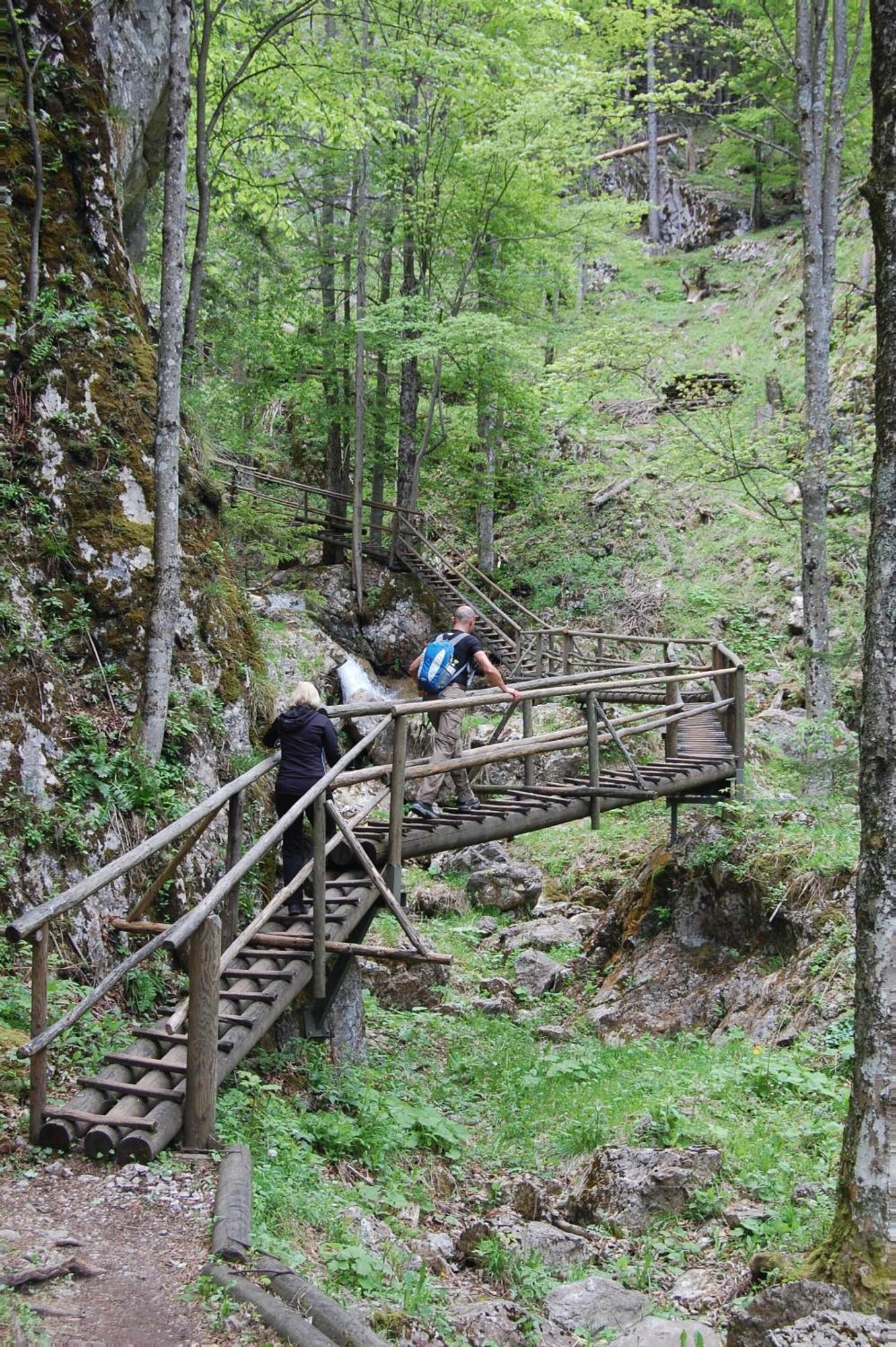 Apartments Am Kirchkogel "Laendliche Entspannung Im Herzen Der Steiermark" Pernegg an der Mur Værelse billede